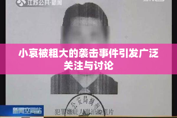 小哀被粗大的袭击事件引发广泛关注与讨论