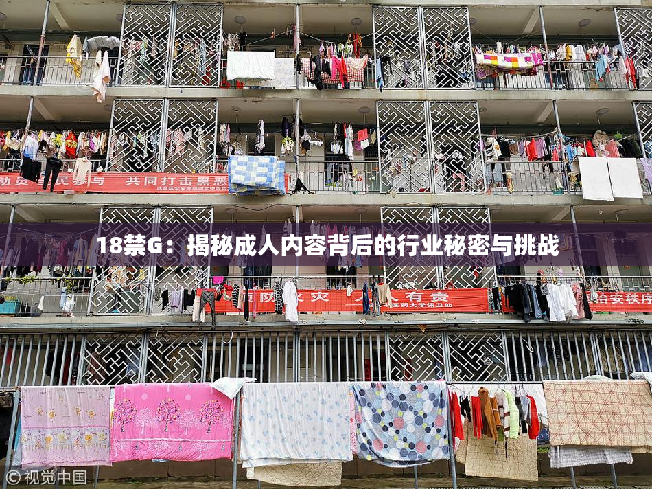18禁G：揭秘成人内容背后的行业秘密与挑战