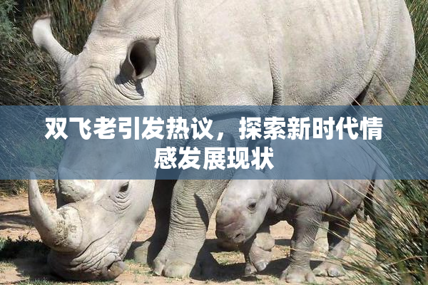 双飞老引发热议，探索新时代情感发展现状