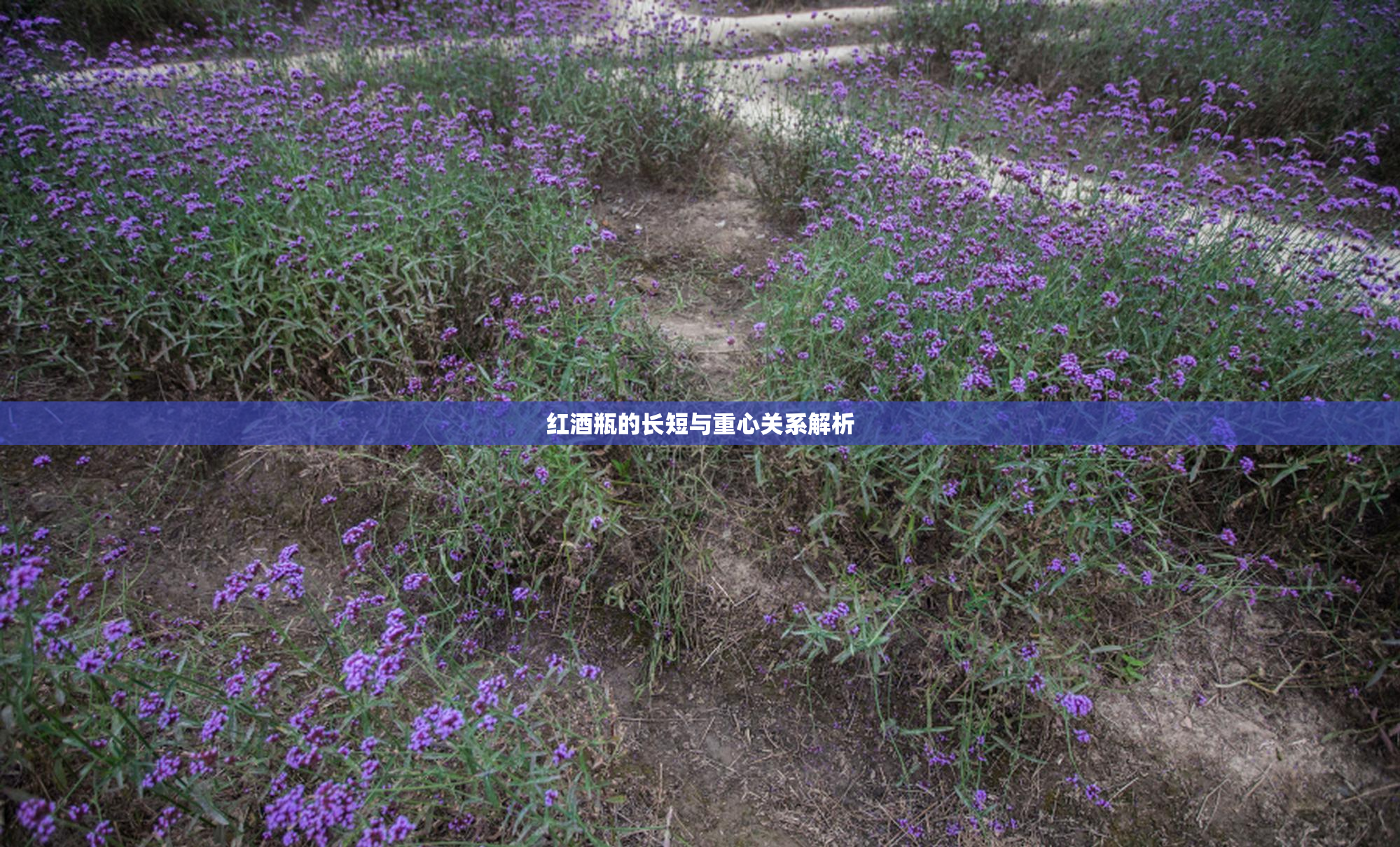 红酒瓶的长短与重心关系解析