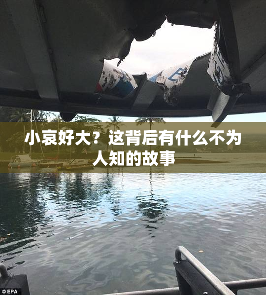 小哀好大？这背后有什么不为人知的故事