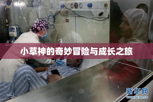 小草神的奇妙冒险与成长之旅