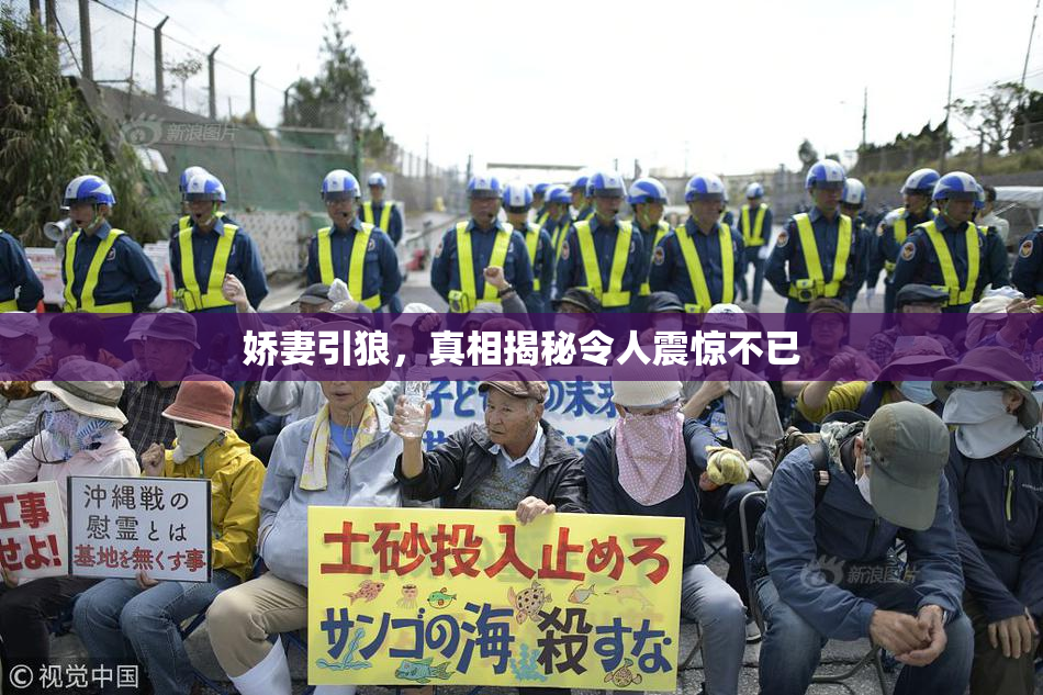 娇妻引狼，真相揭秘令人震惊不已