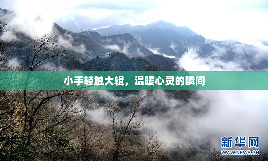 小手轻触大辑，温暖心灵的瞬间