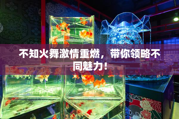 不知火舞激情重燃，带你领略不同魅力！
