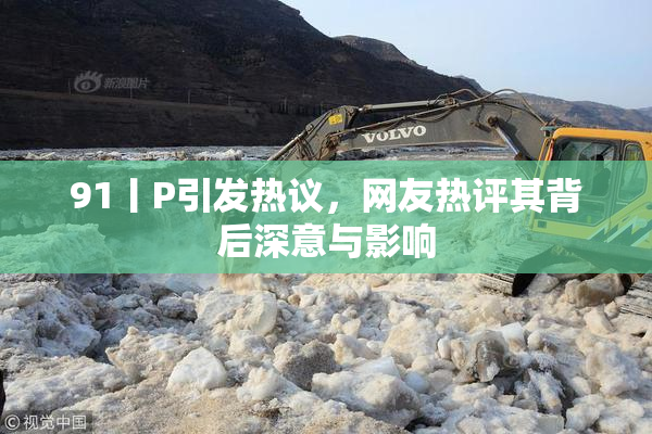 91丨P引发热议，网友热评其背后深意与影响