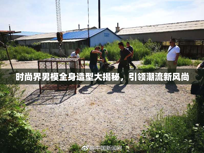 时尚界男模全身造型大揭秘，引领潮流新风尚