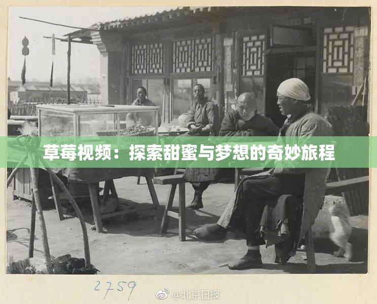 草莓视频：探索甜蜜与梦想的奇妙旅程