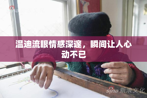 温迪流眼情感深邃，瞬间让人心动不已