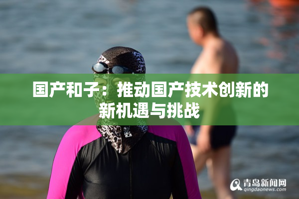 国产和子：推动国产技术创新的新机遇与挑战