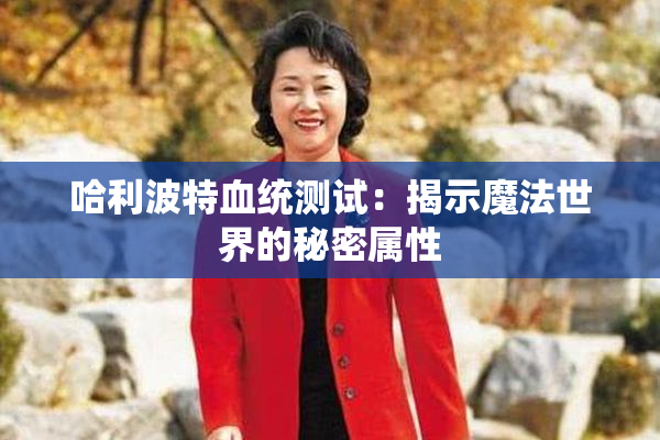 哈利波特血统测试：揭示魔法世界的秘密属性
