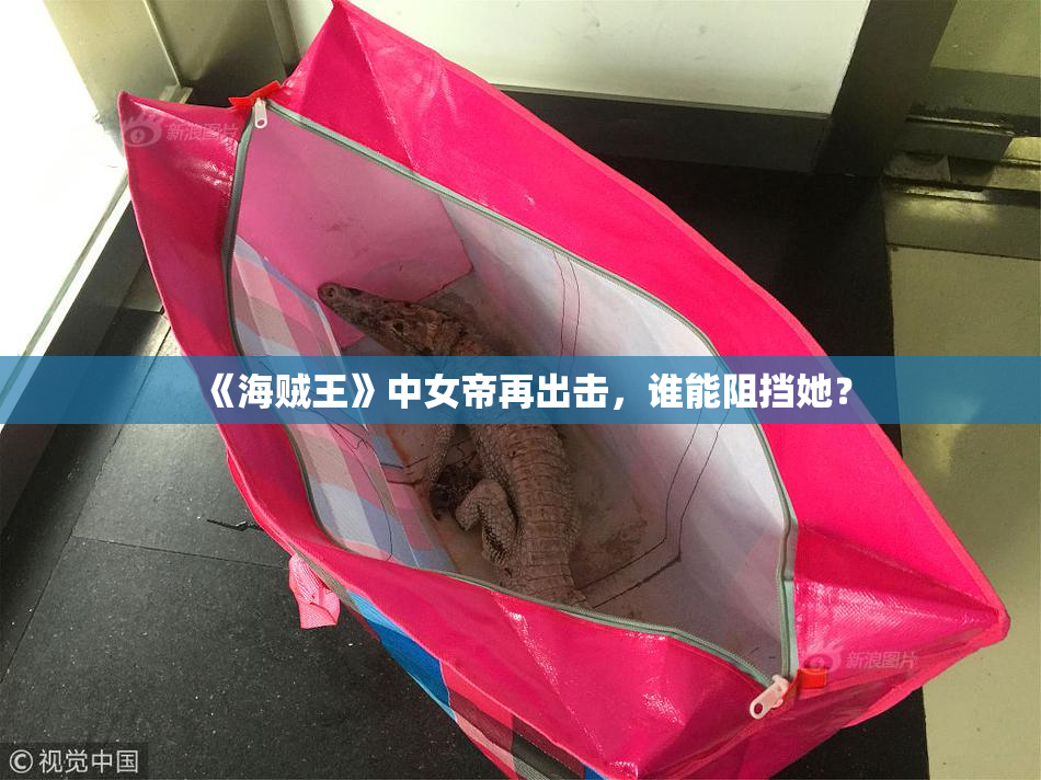 《海贼王》中女帝再出击，谁能阻挡她？
