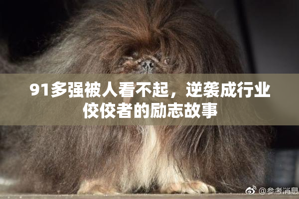 91多强被人看不起，逆袭成行业佼佼者的励志故事