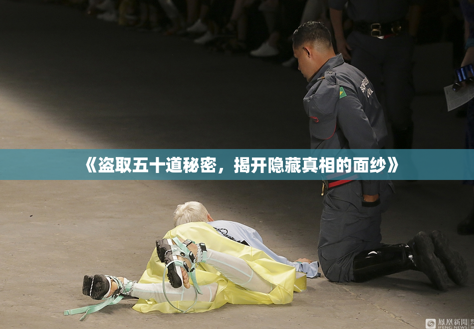 《盗取五十道秘密，揭开隐藏真相的面纱》