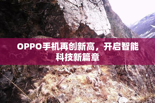 OPPO手机再创新高，开启智能科技新篇章