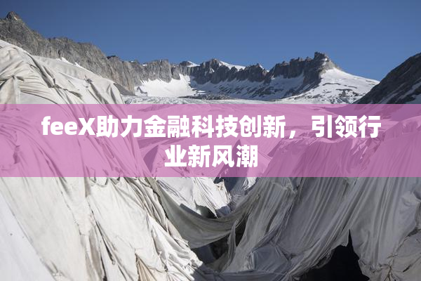 feeX助力金融科技创新，引领行业新风潮