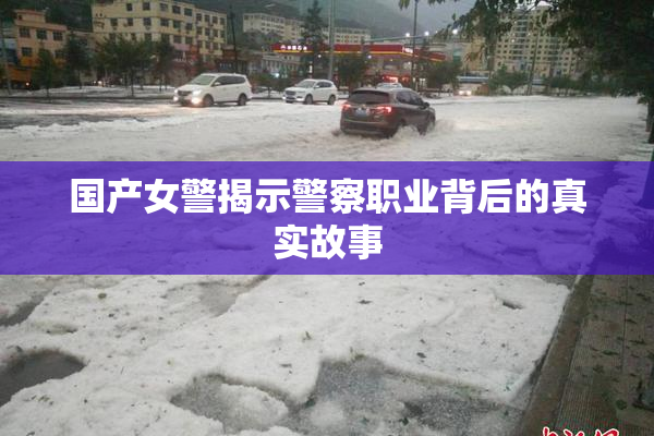 国产女警揭示警察职业背后的真实故事