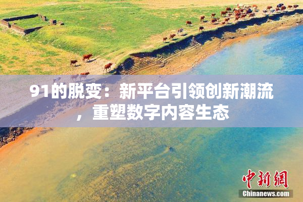 91的脱变：新平台引领创新潮流，重塑数字内容生态