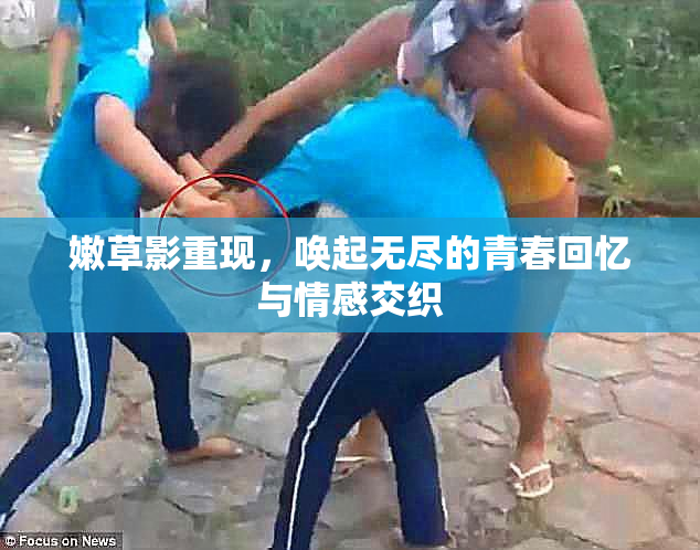 嫩草影重现，唤起无尽的青春回忆与情感交织