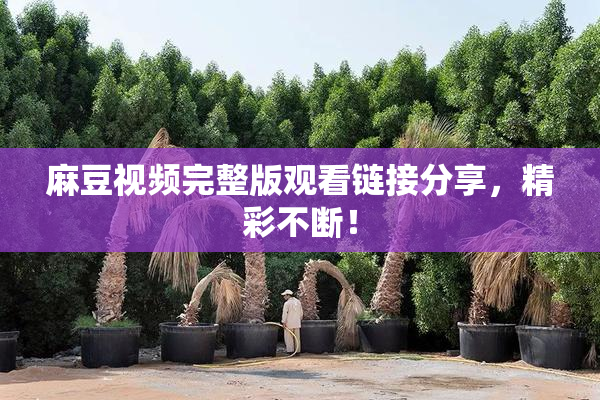 麻豆视频完整版观看链接分享，精彩不断！