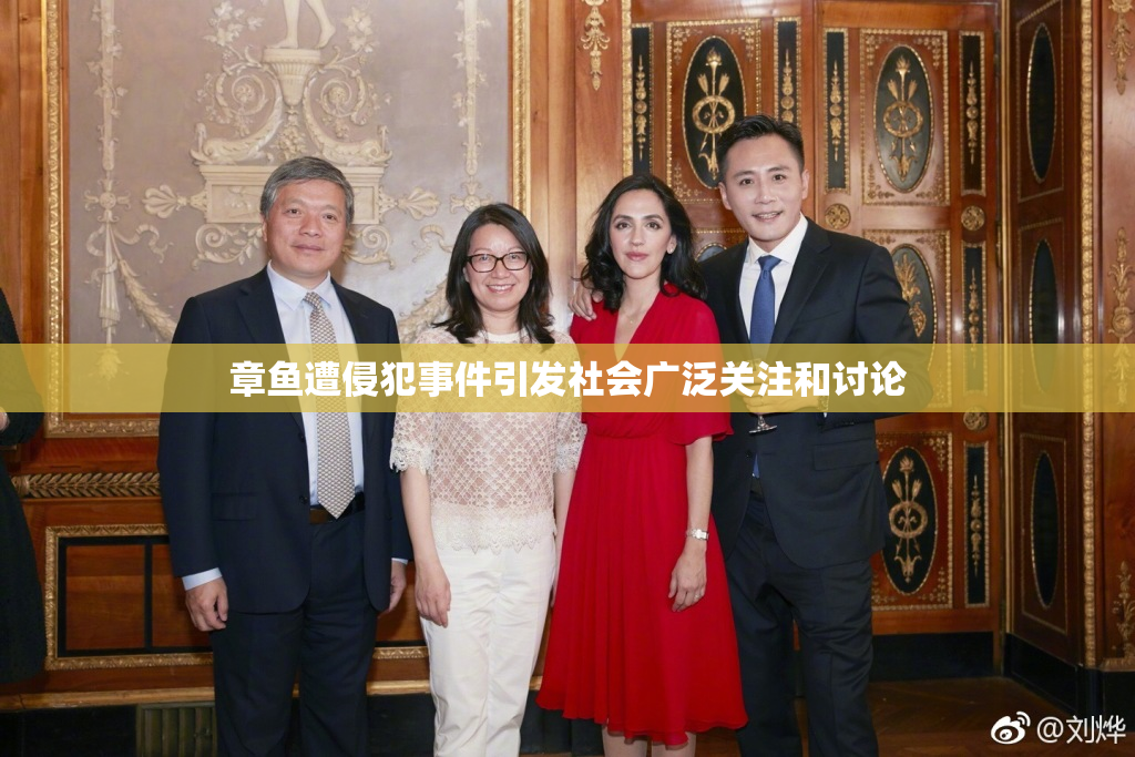 章鱼遭侵犯事件引发社会广泛关注和讨论