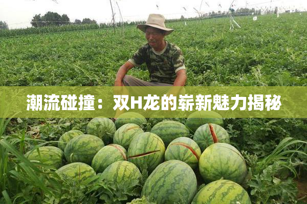 潮流碰撞：双H龙的崭新魅力揭秘
