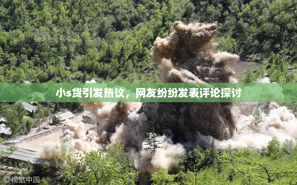 小s货引发热议，网友纷纷发表评论探讨