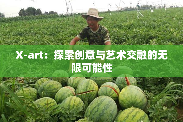 X-art：探索创意与艺术交融的无限可能性