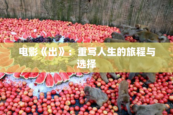 电影《出》：重写人生的旅程与选择