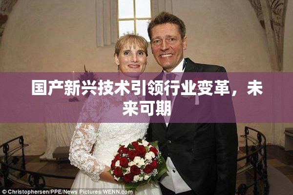 国产新兴技术引领行业变革，未来可期