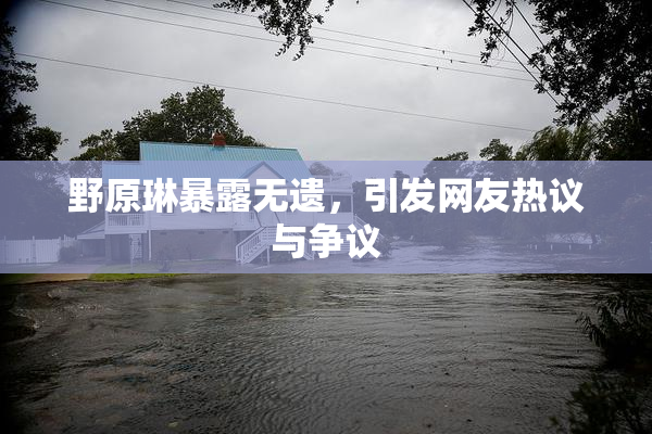 野原琳暴露无遗，引发网友热议与争议