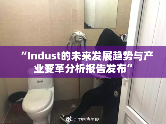 “Indust的未来发展趋势与产业变革分析报告发布”
