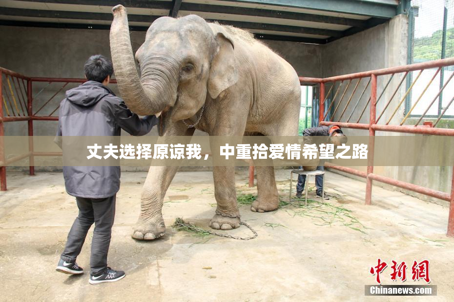 丈夫选择原谅我，中重拾爱情希望之路