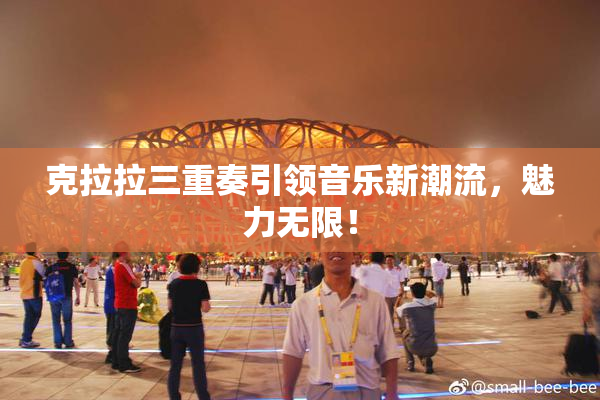 克拉拉三重奏引领音乐新潮流，魅力无限！
