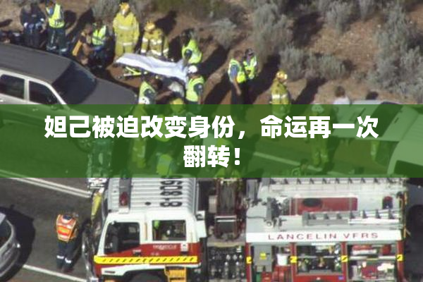 妲己被迫改变身份，命运再一次翻转！