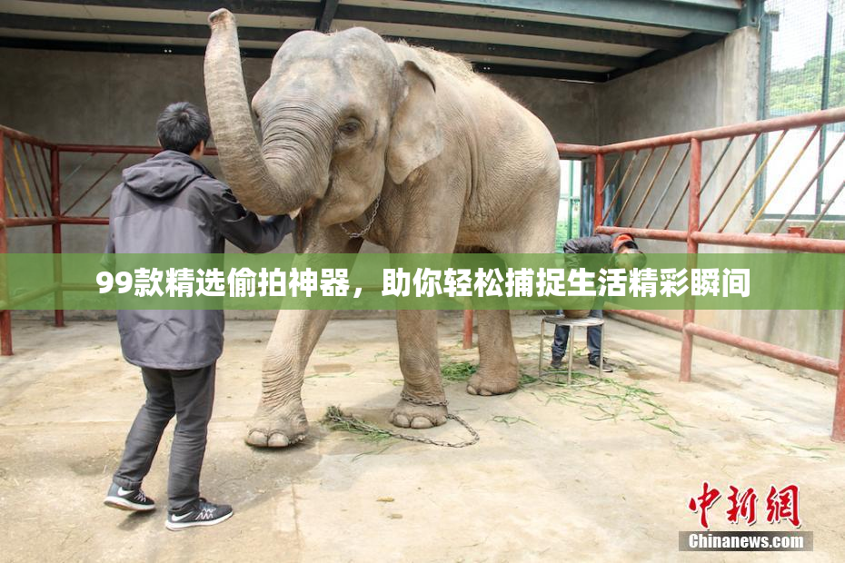 99款精选偷拍神器，助你轻松捕捉生活精彩瞬间