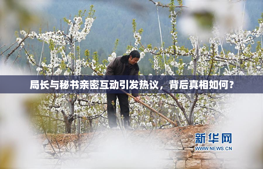 局长与秘书亲密互动引发热议，背后真相如何？