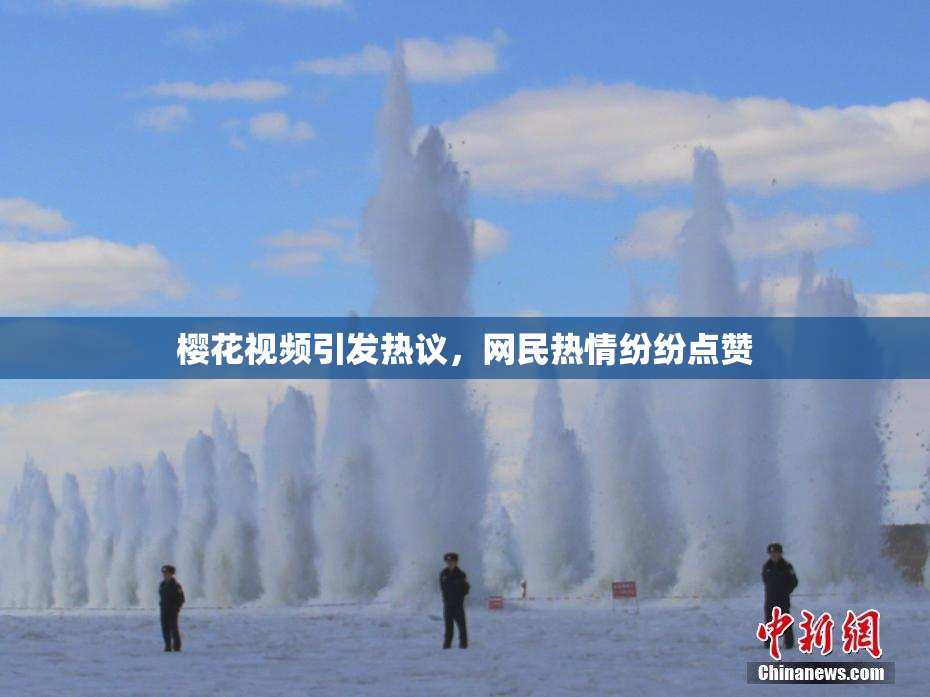 樱花视频引发热议，网民热情纷纷点赞