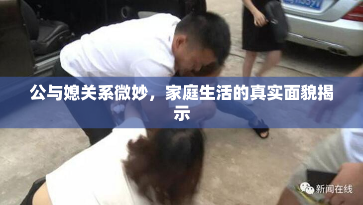 公与媳关系微妙，家庭生活的真实面貌揭示