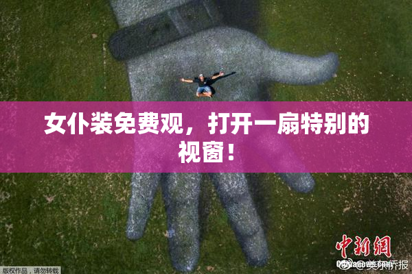 女仆装免费观，打开一扇特别的视窗！