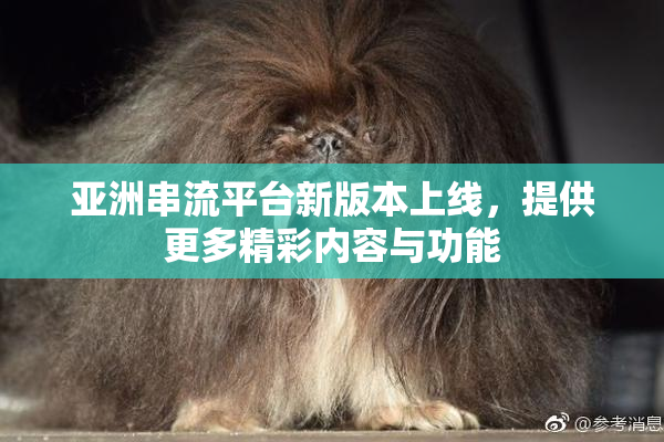 亚洲串流平台新版本上线，提供更多精彩内容与功能