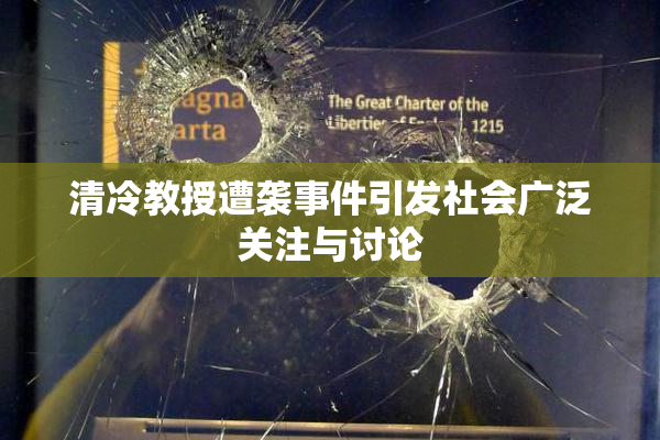 清冷教授遭袭事件引发社会广泛关注与讨论