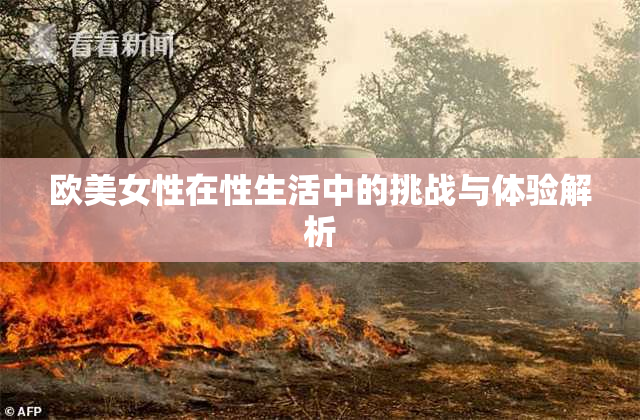 欧美女性在性生活中的挑战与体验解析