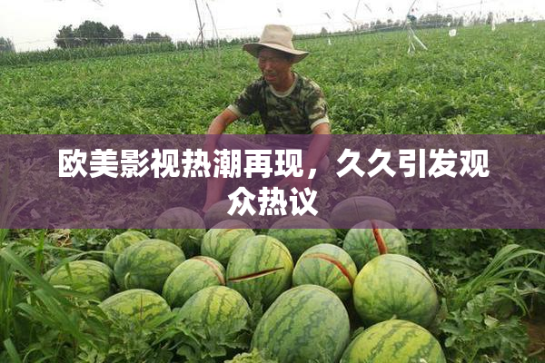 欧美影视热潮再现，久久引发观众热议