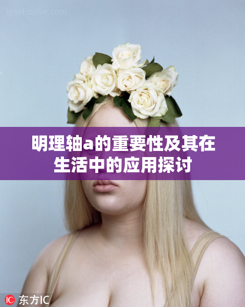 明理轴a的重要性及其在生活中的应用探讨