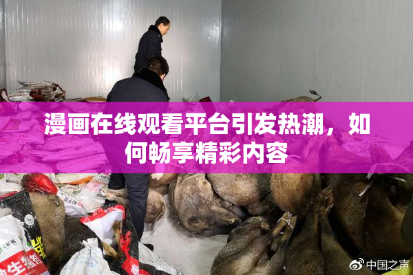 漫画在线观看平台引发热潮，如何畅享精彩内容