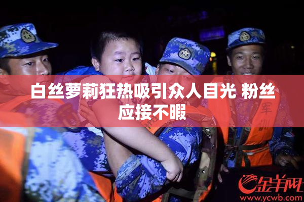 白丝萝莉狂热吸引众人目光 粉丝应接不暇