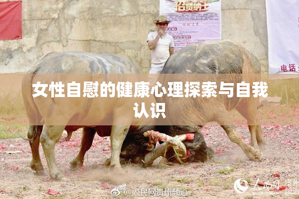 女性自慰的健康心理探索与自我认识
