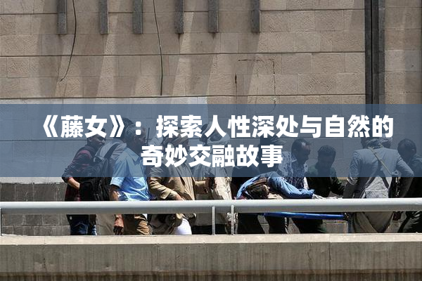 《藤女》：探索人性深处与自然的奇妙交融故事