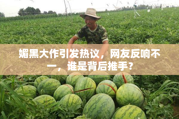 媚黑大作引发热议，网友反响不一，谁是背后推手？